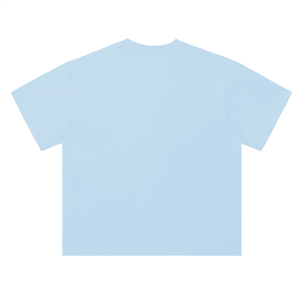 Heavyweight Coordinates tee in Light Blue, back view (no print on the back)