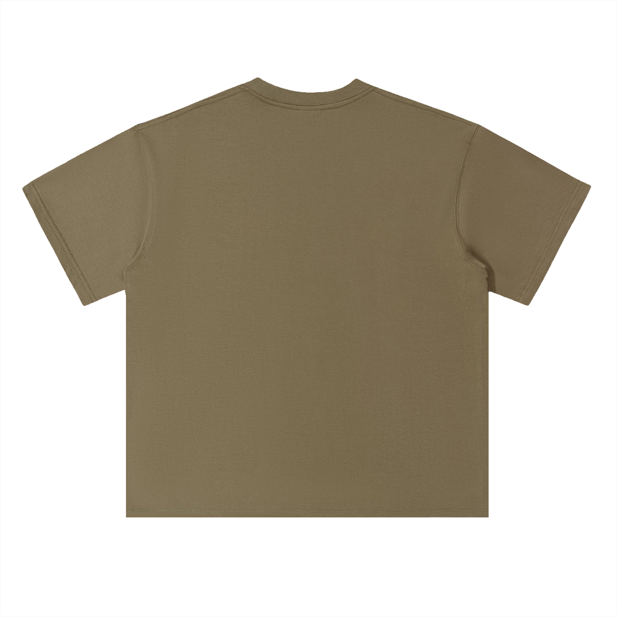 Heavyweight Coordinates tee in Gray Green, back view (no print on the back)