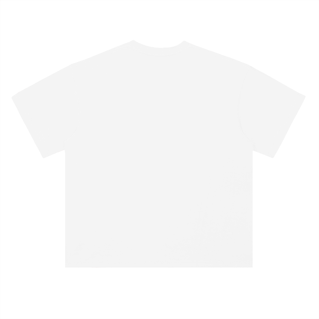 Heavyweight Coordinates tee in Lucent White, back view (no print on the back)