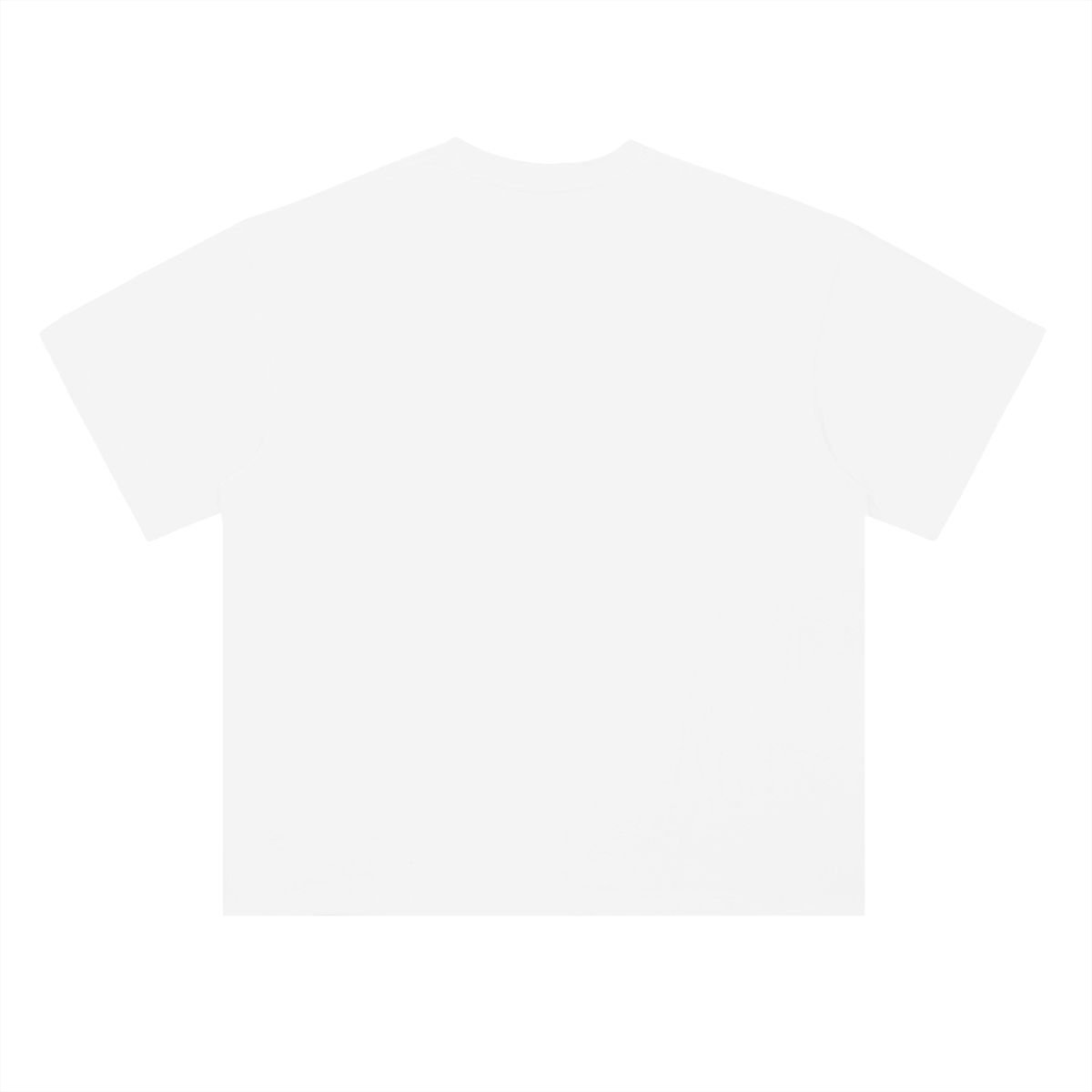 Heavyweight Coordinates tee in Lucent White, back view (no print on the back)