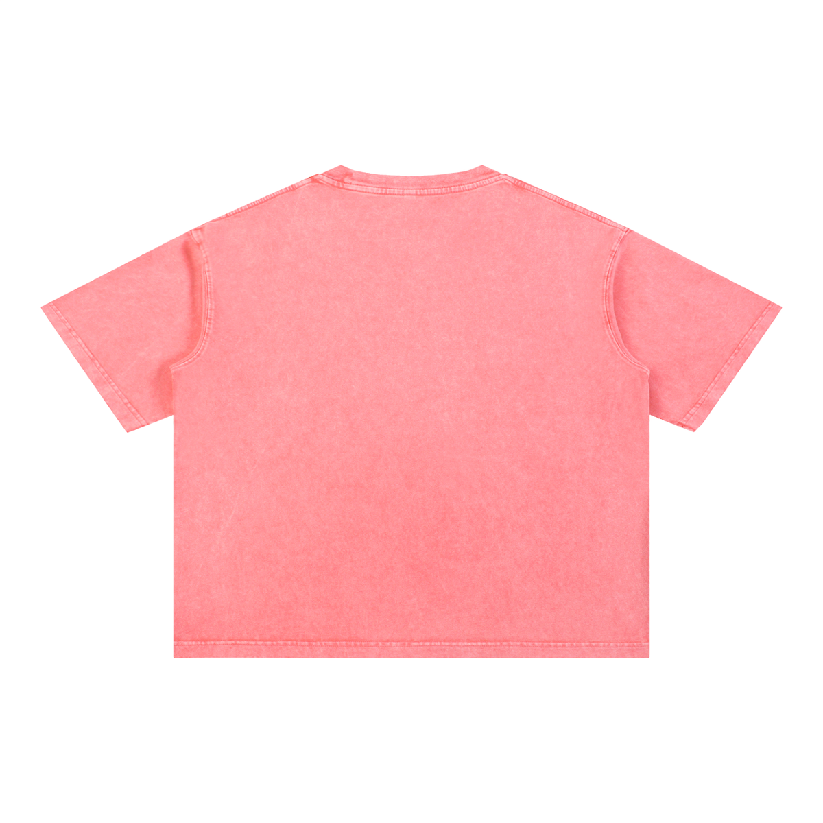Brooklyn Coordinates tee in Pink, back view (no print on the back)