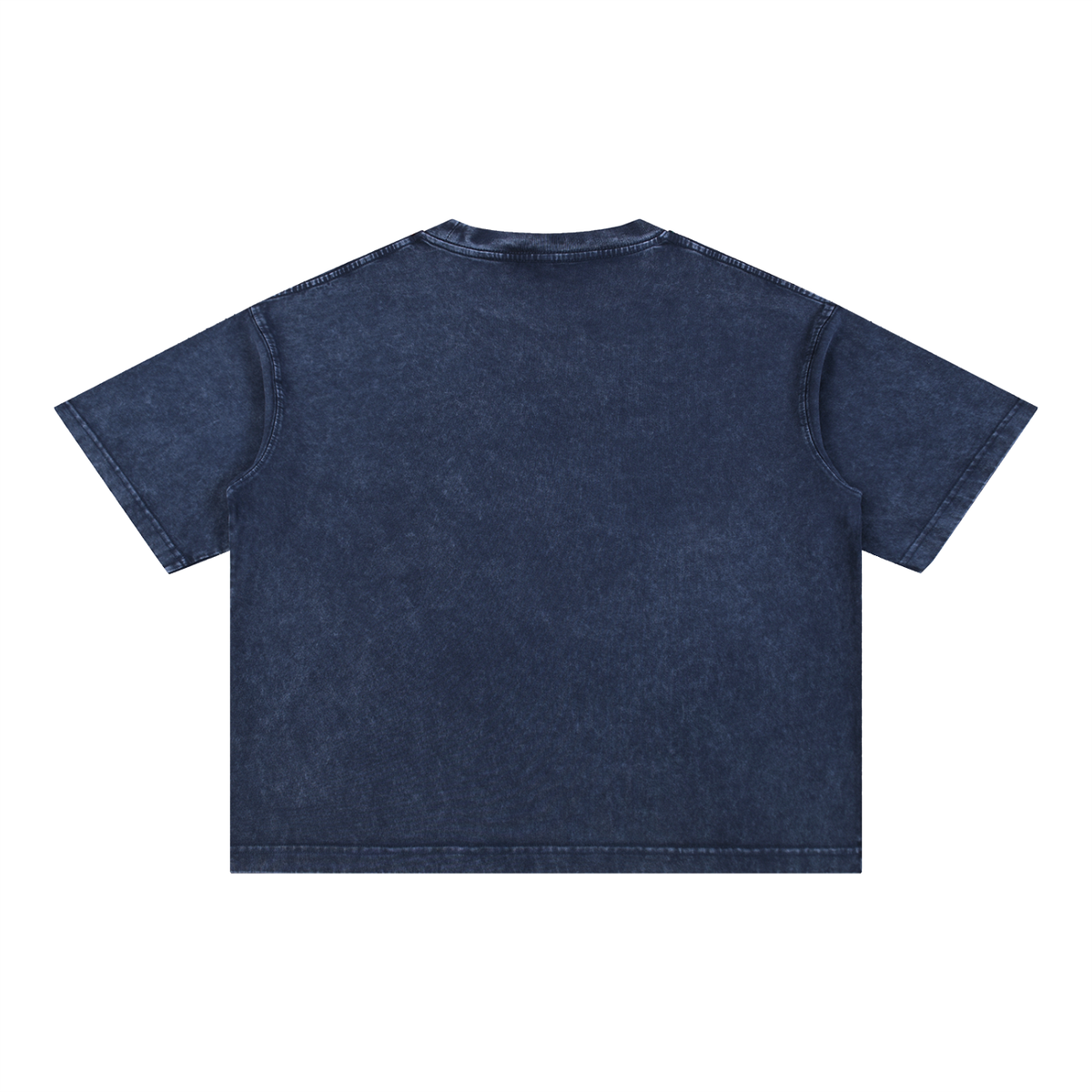 Brooklyn Coordinates tee in Royal Blue, back view (no print on the back)