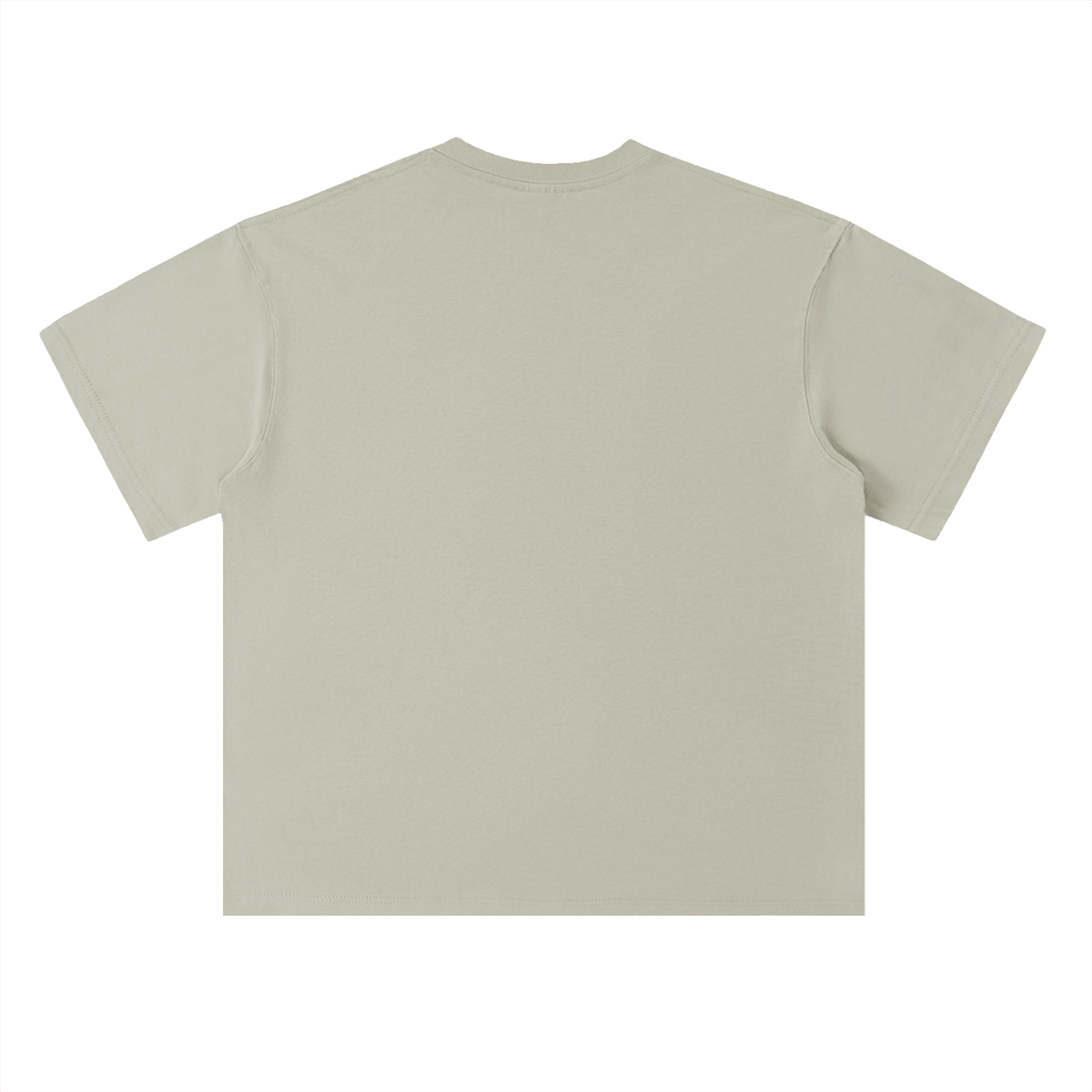 Heavyweight Coordinates tee in Deep Khaki, back view (no print on the back)