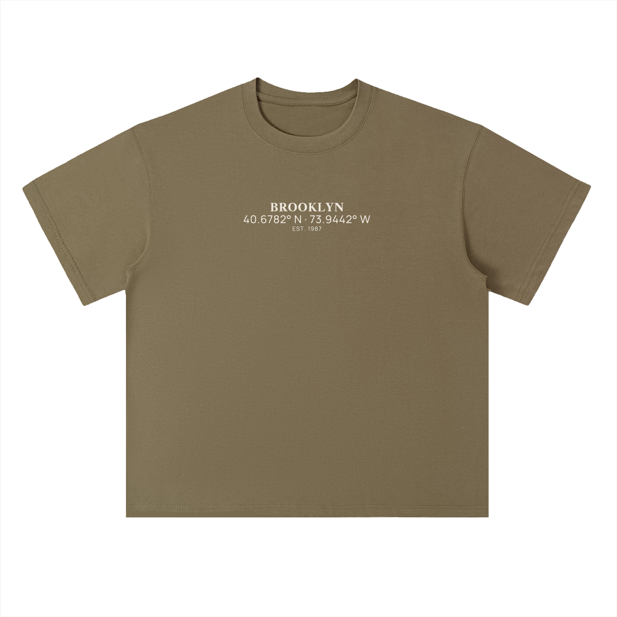 Heavyweight Coordinates tee in Gray Green, front view showing the coordinates chest print