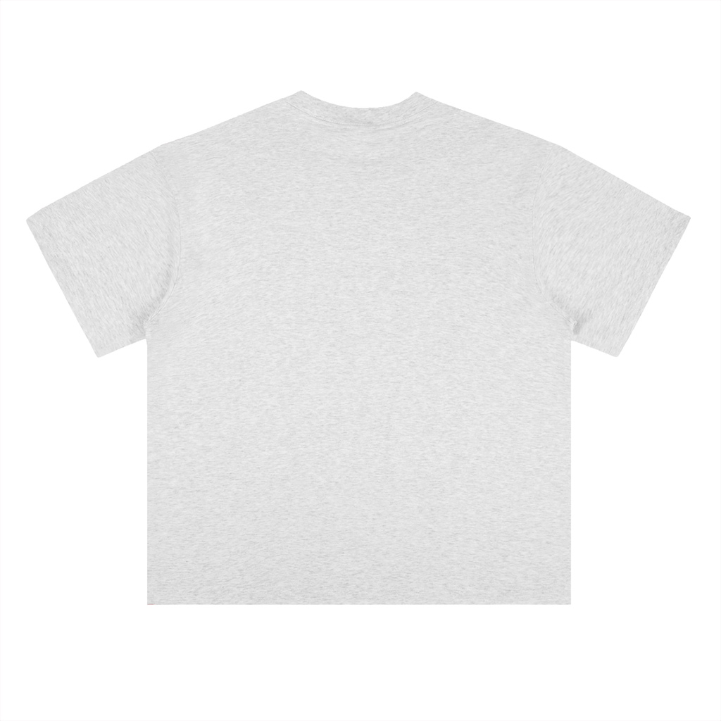 Heavyweight Coordinates tee in Light Gray, back view (no print on the back)