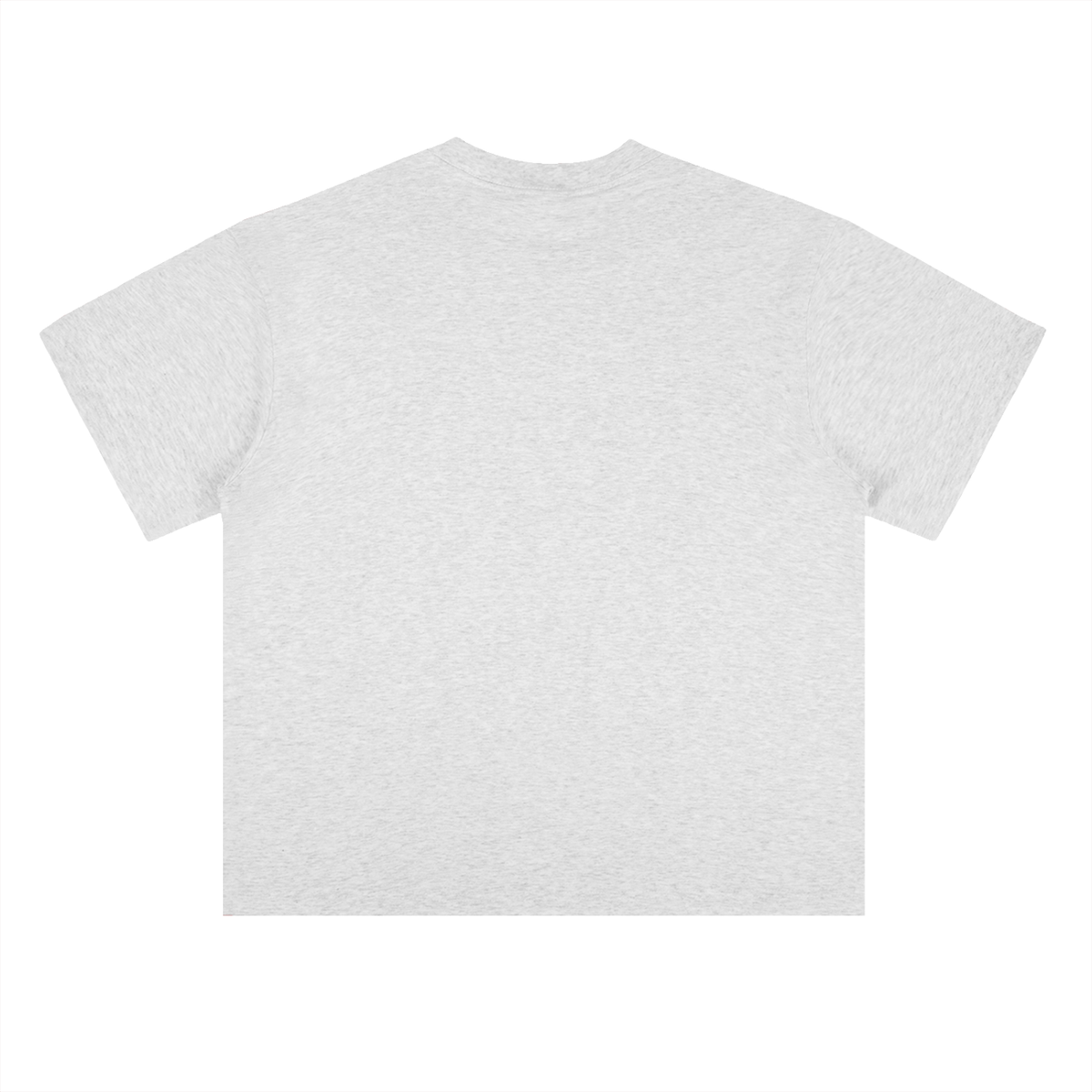 Heavyweight Coordinates tee in Light Gray, back view (no print on the back)