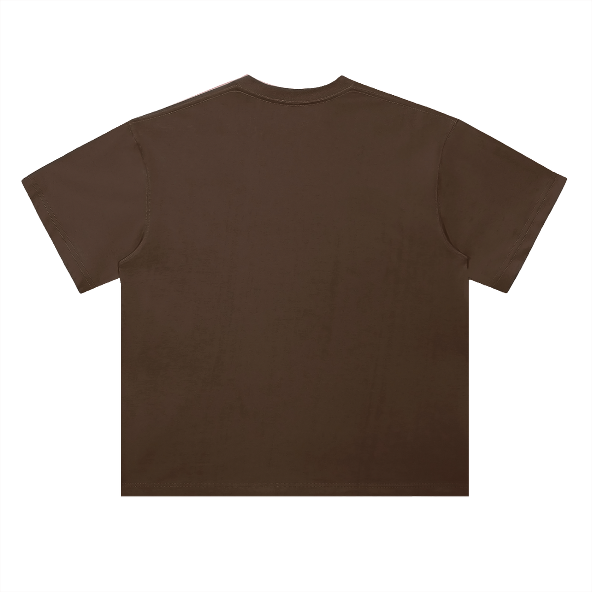 Heavyweight Coordinates tee in Coffee, back view (no print on the back)