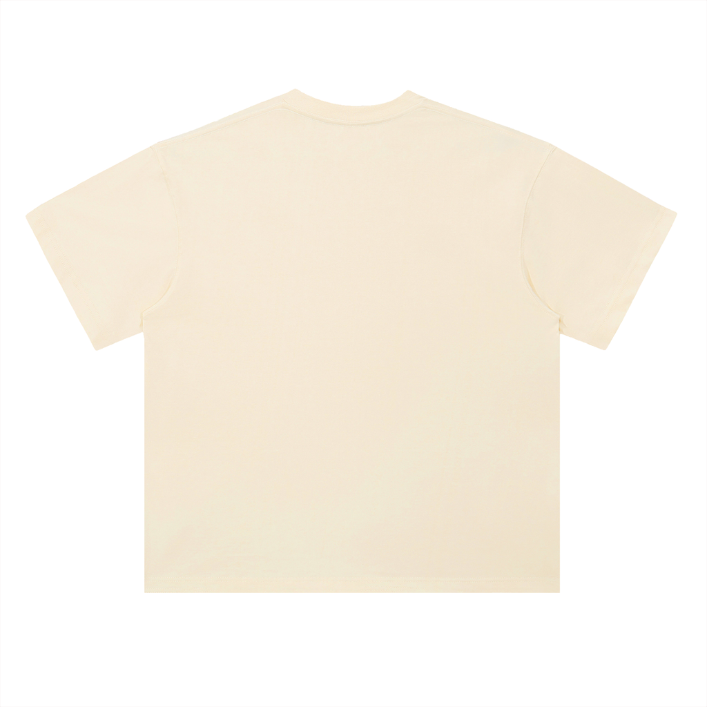 Heavyweight Coordinates tee in Milk Apricot, back view (no print on the back)