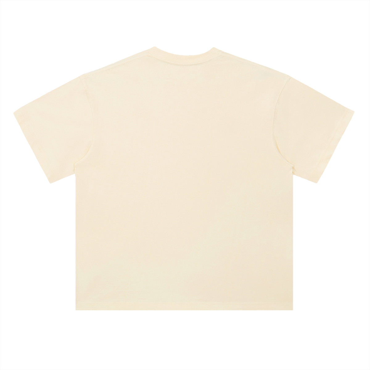 Heavyweight Coordinates tee in Milk Apricot, back view (no print on the back)