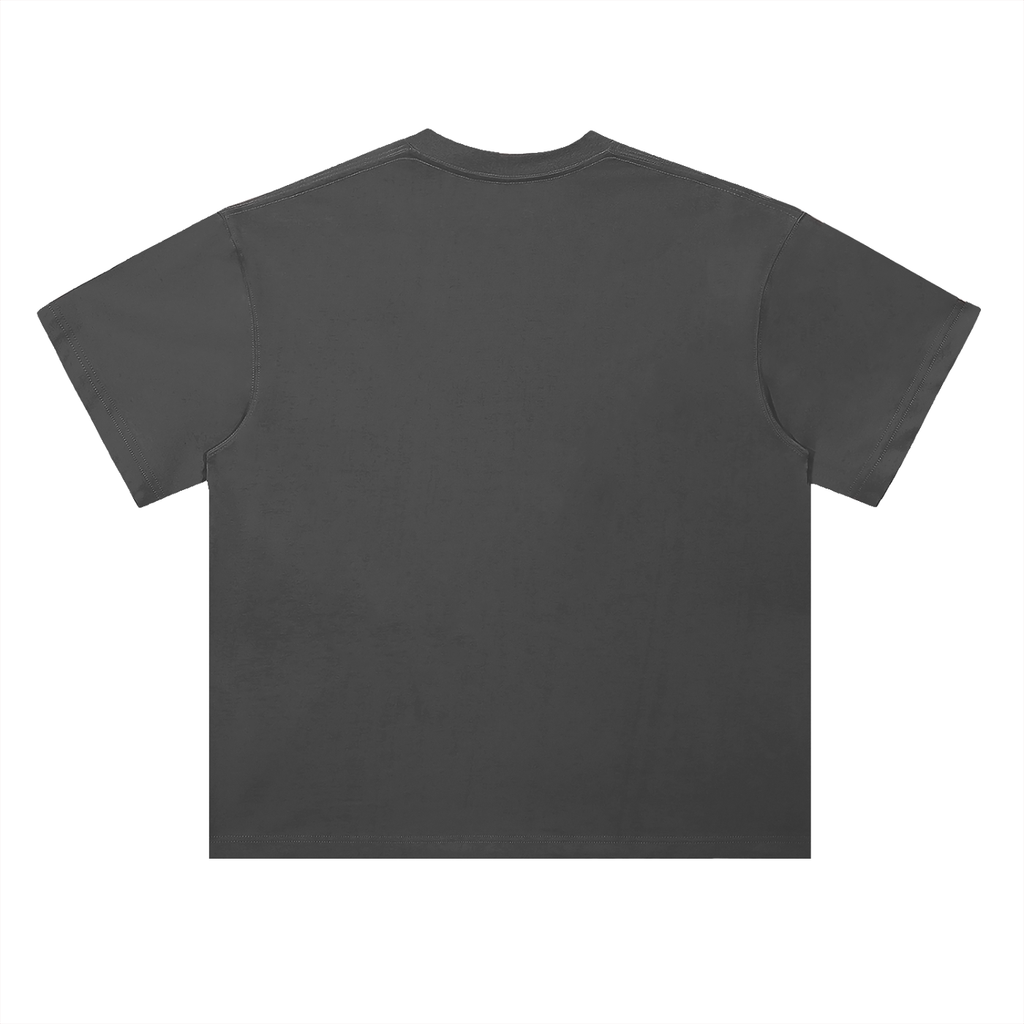 Heavyweight Coordinates tee in Dark Gray, back view (no print on the back)